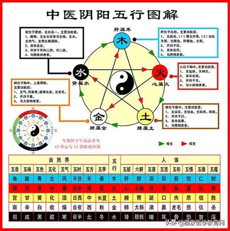 五行理論|中醫基礎/五行學說